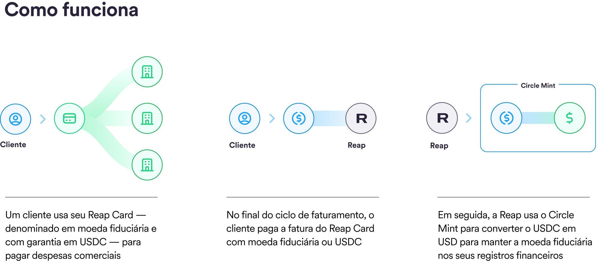 Reap_howitworks-portuguese-d